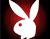 Эротические Playboy кролик